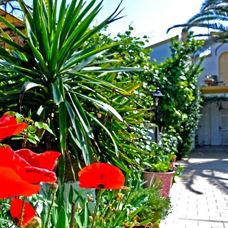 Villa Elena Studios Δασιά Εξωτερικό φωτογραφία