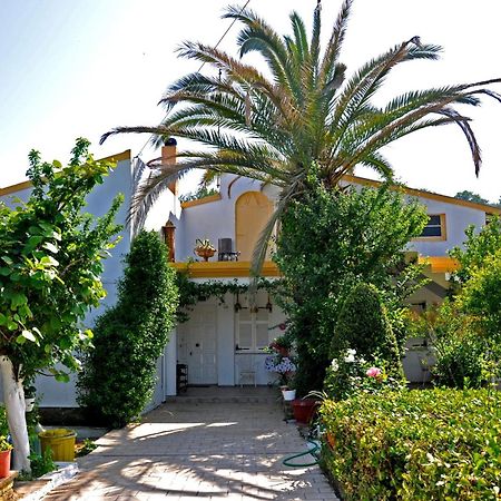 Villa Elena Studios Δασιά Εξωτερικό φωτογραφία