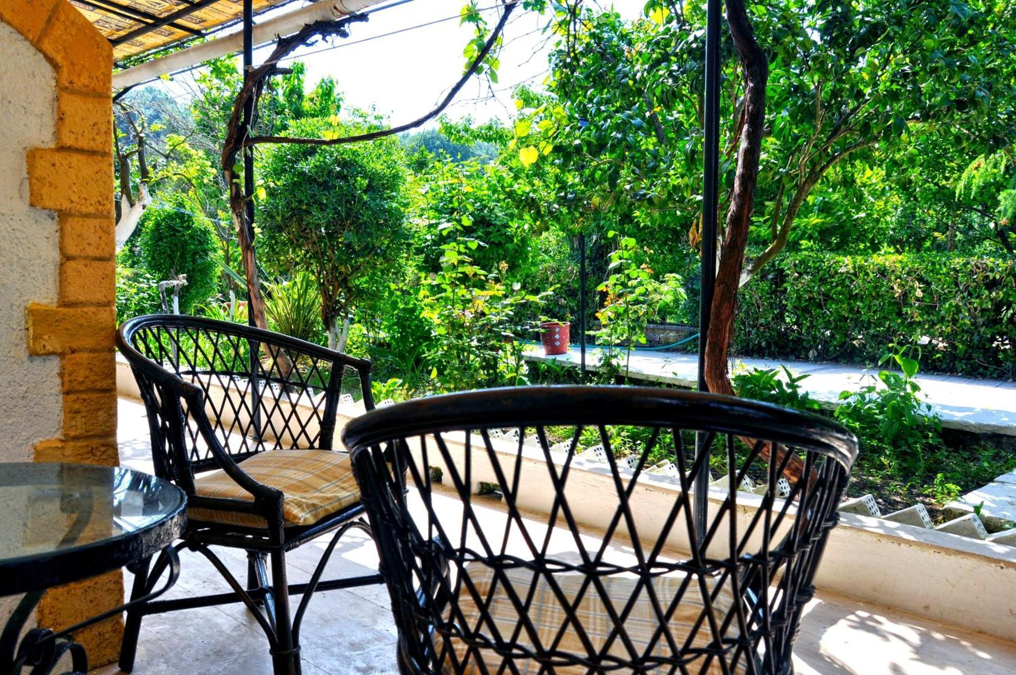 Villa Elena Studios Δασιά Εξωτερικό φωτογραφία
