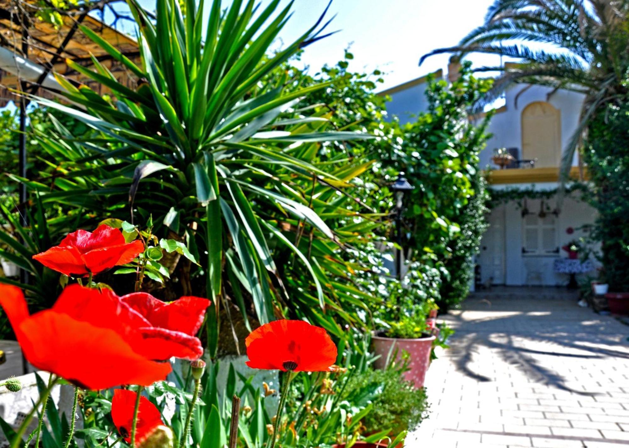 Villa Elena Studios Δασιά Εξωτερικό φωτογραφία