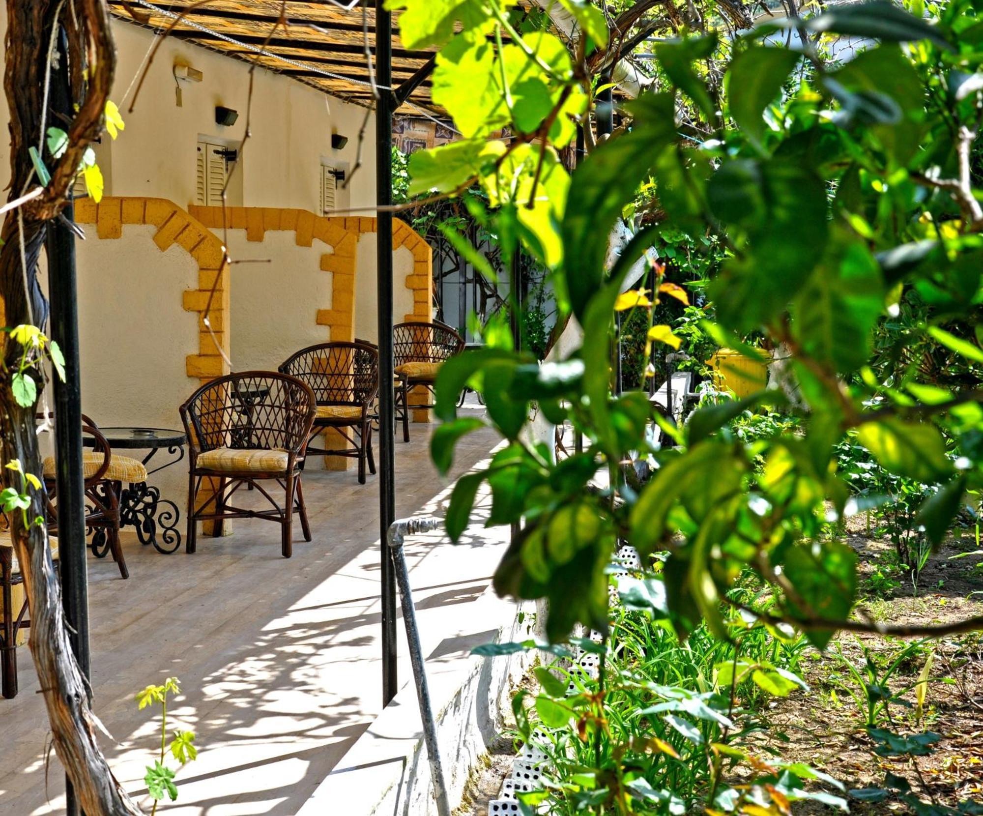Villa Elena Studios Δασιά Εξωτερικό φωτογραφία